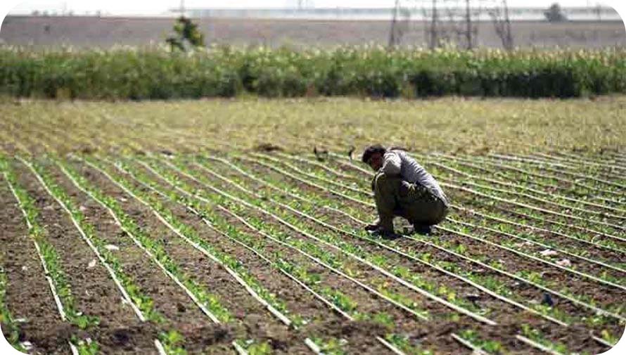 روستای زرنان کجاست ؛ معرفی جاذبهها و مسیر دسترسی به زرنان شهریار 4 روستای زرنان بالا