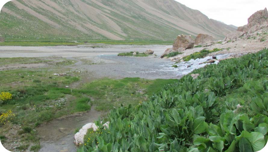 تصویر کاروانسرای چشمه دوبرار